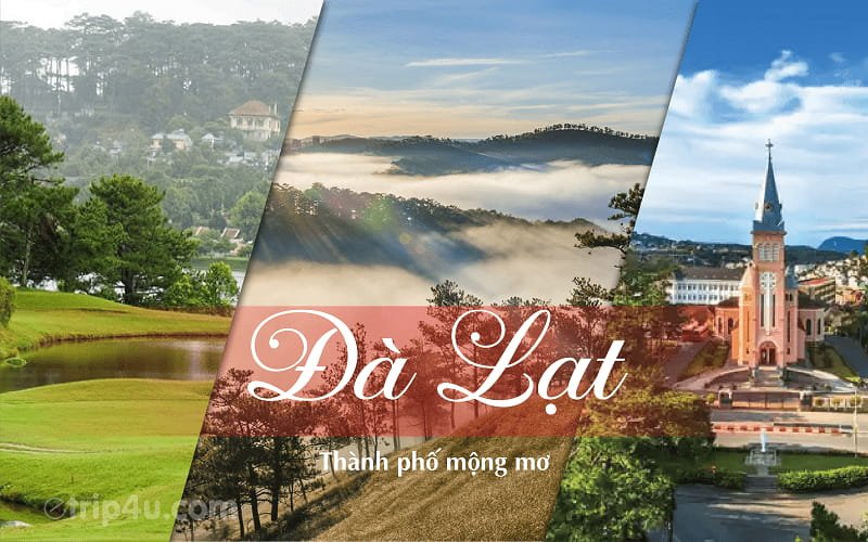 Tour Đà Lạt